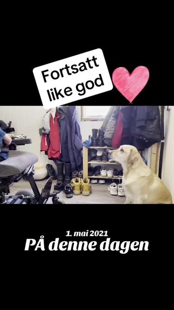 @MyHippiDog & Liv Tone 🇳🇴