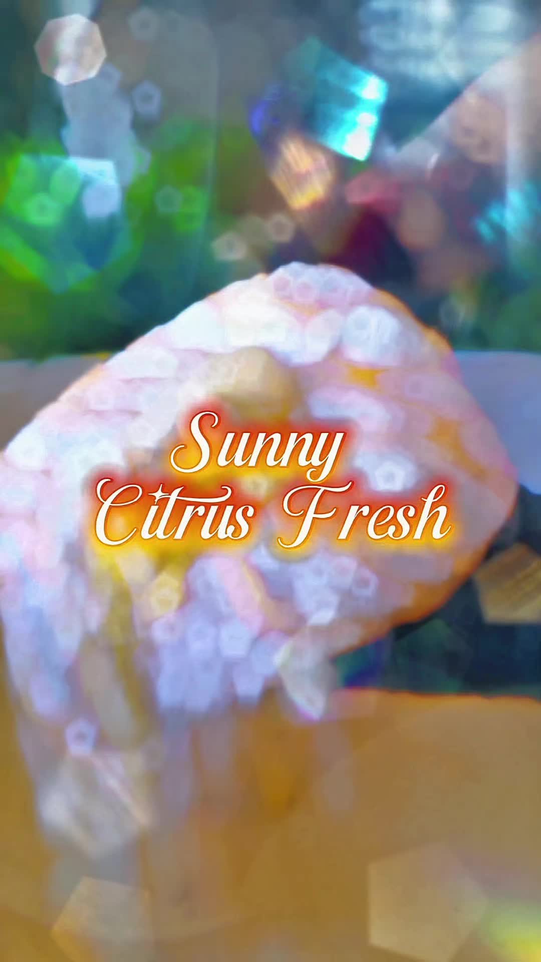 @Sudsy_Cherrie 🫧