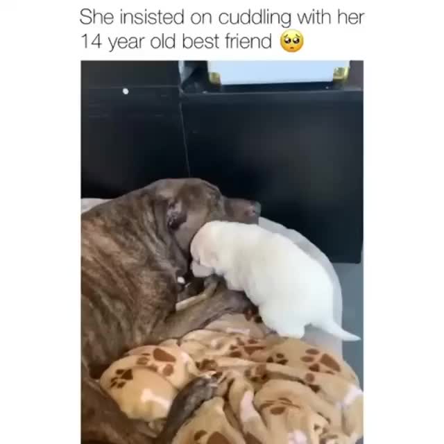@Hilarious Laughs Hub