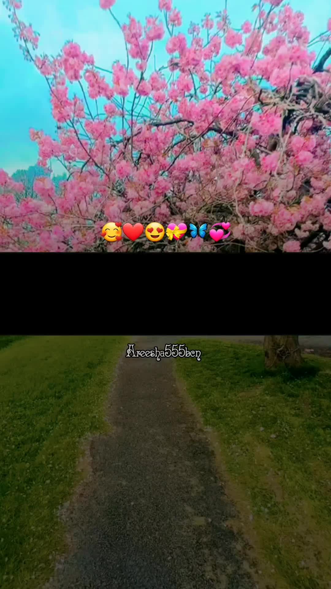 @Areesha