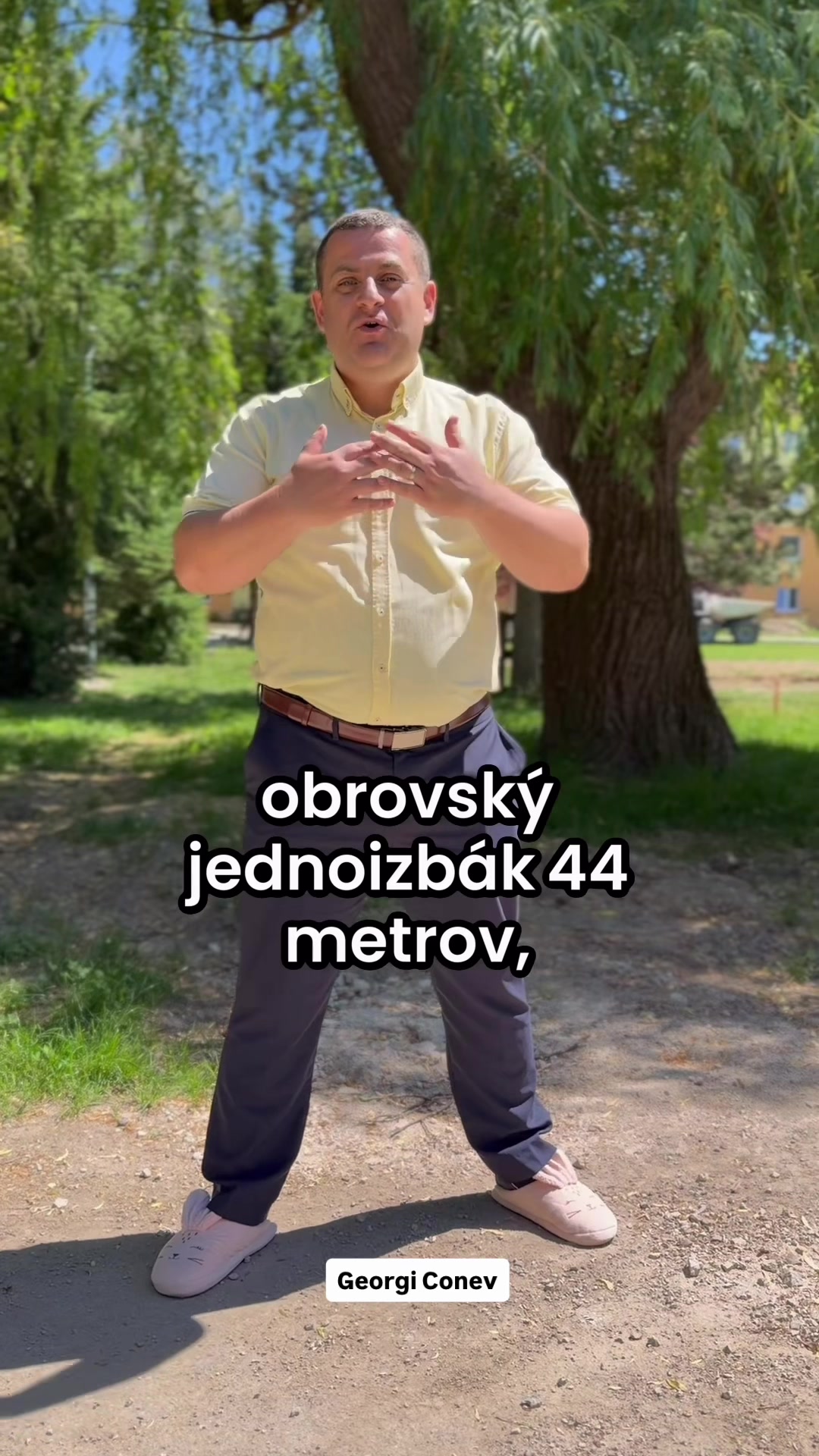 @GeorgiConevReality