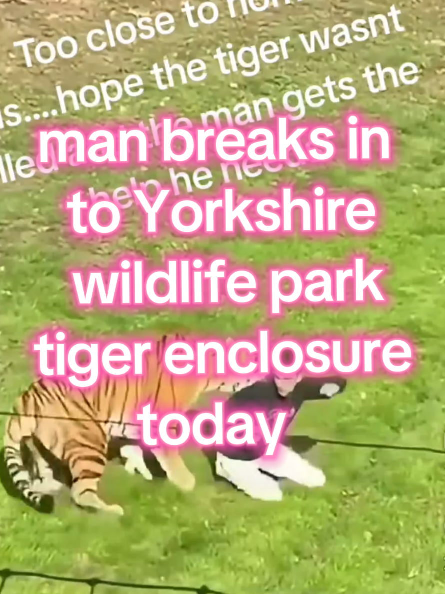 @Jp's Pet nation
