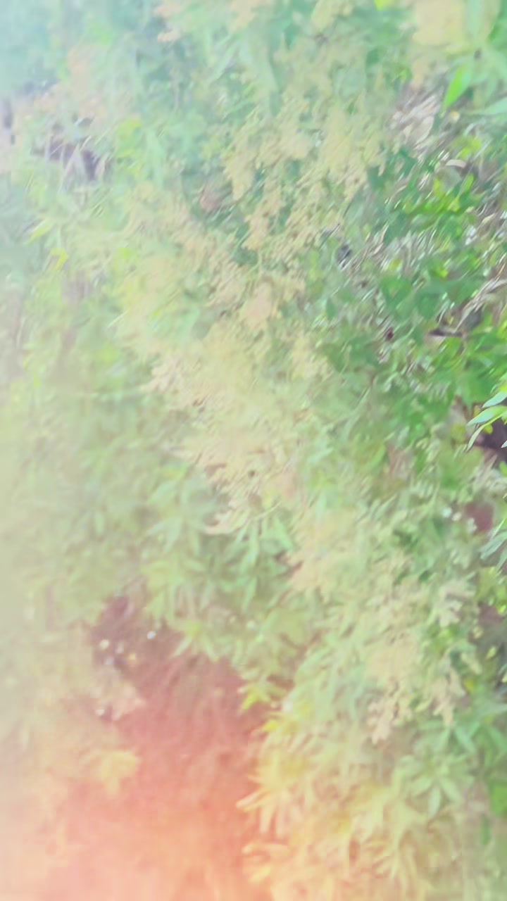 @Zaniii🦋