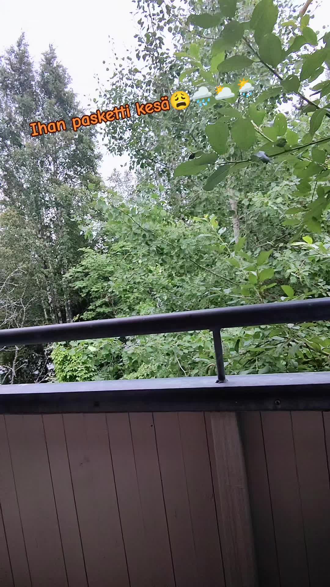 @🧡Heidi