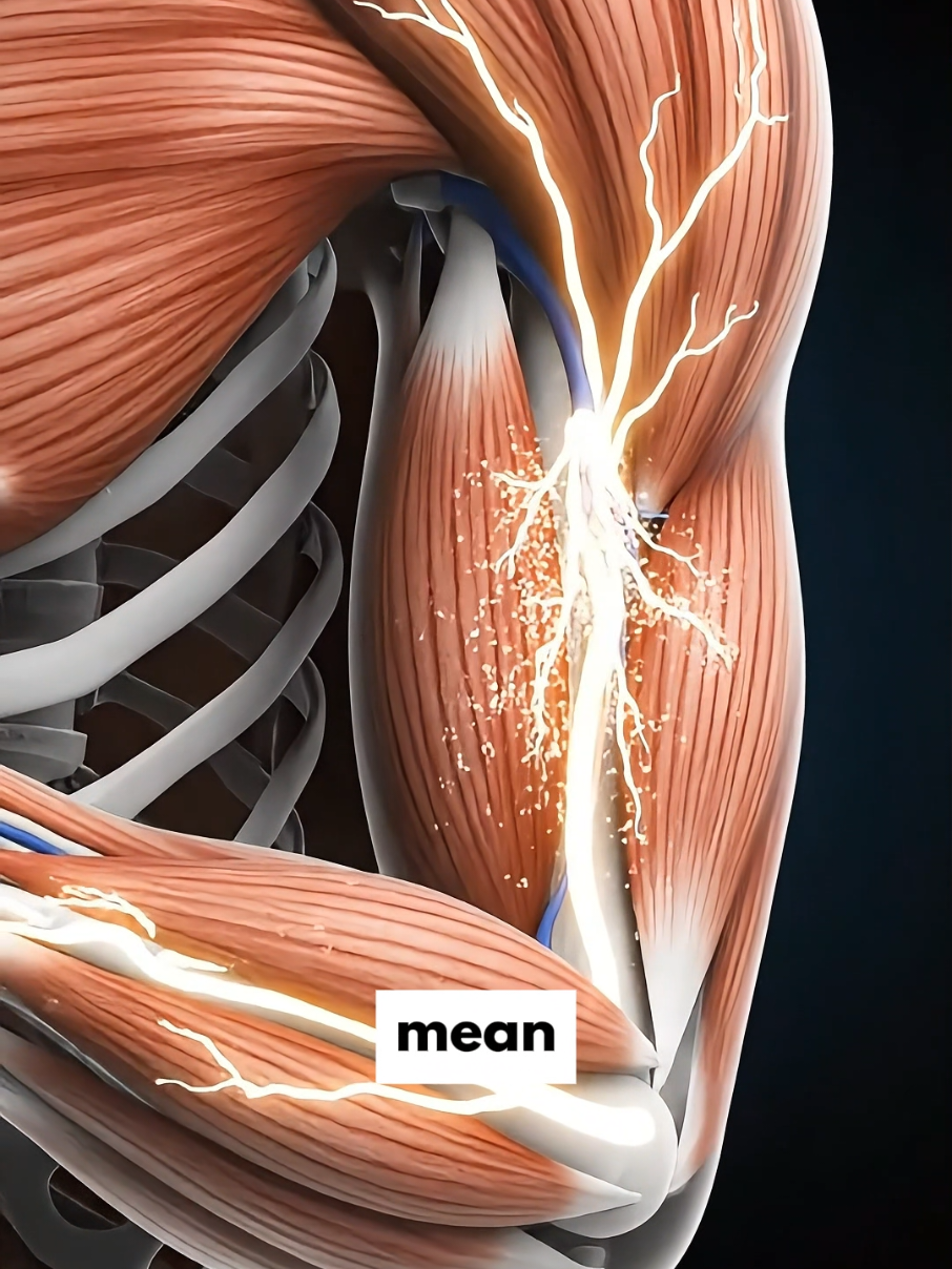 @Flexplained