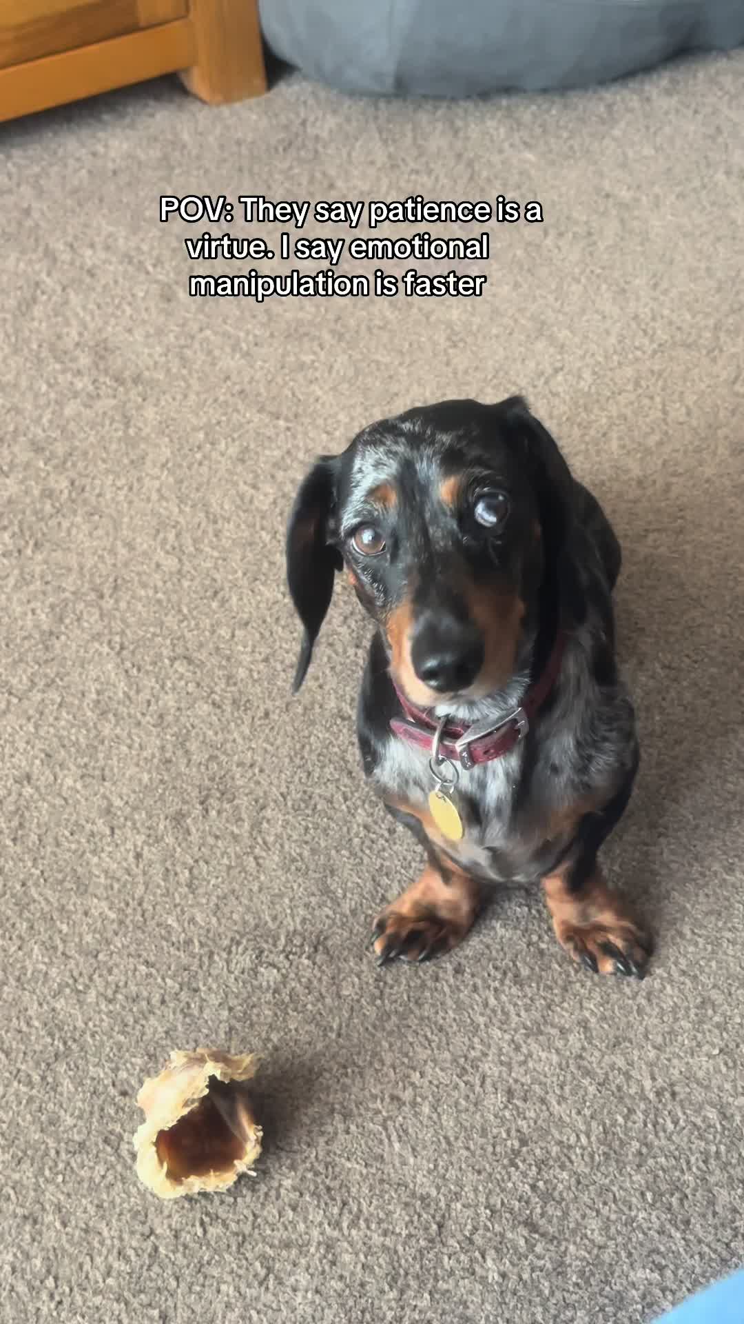 @dibblydobbly_dax