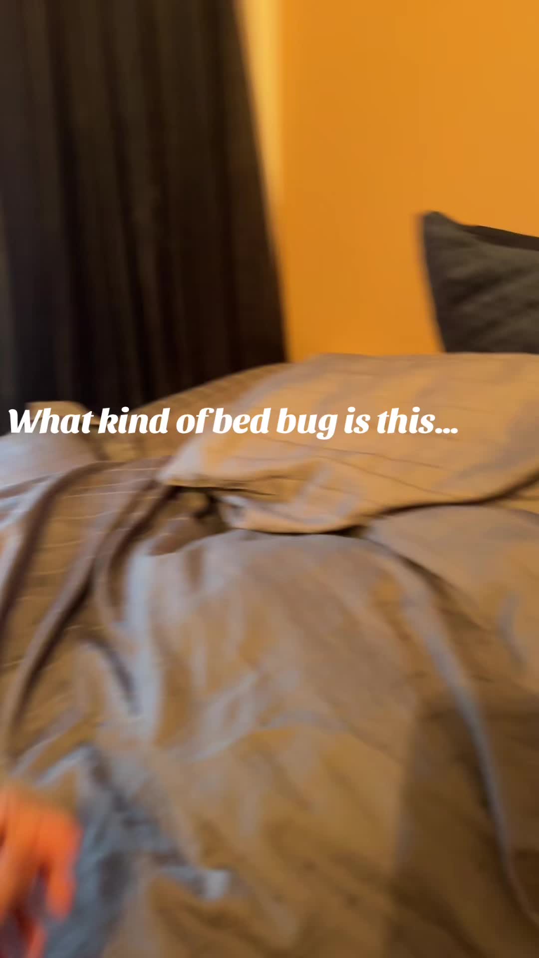 @Tara