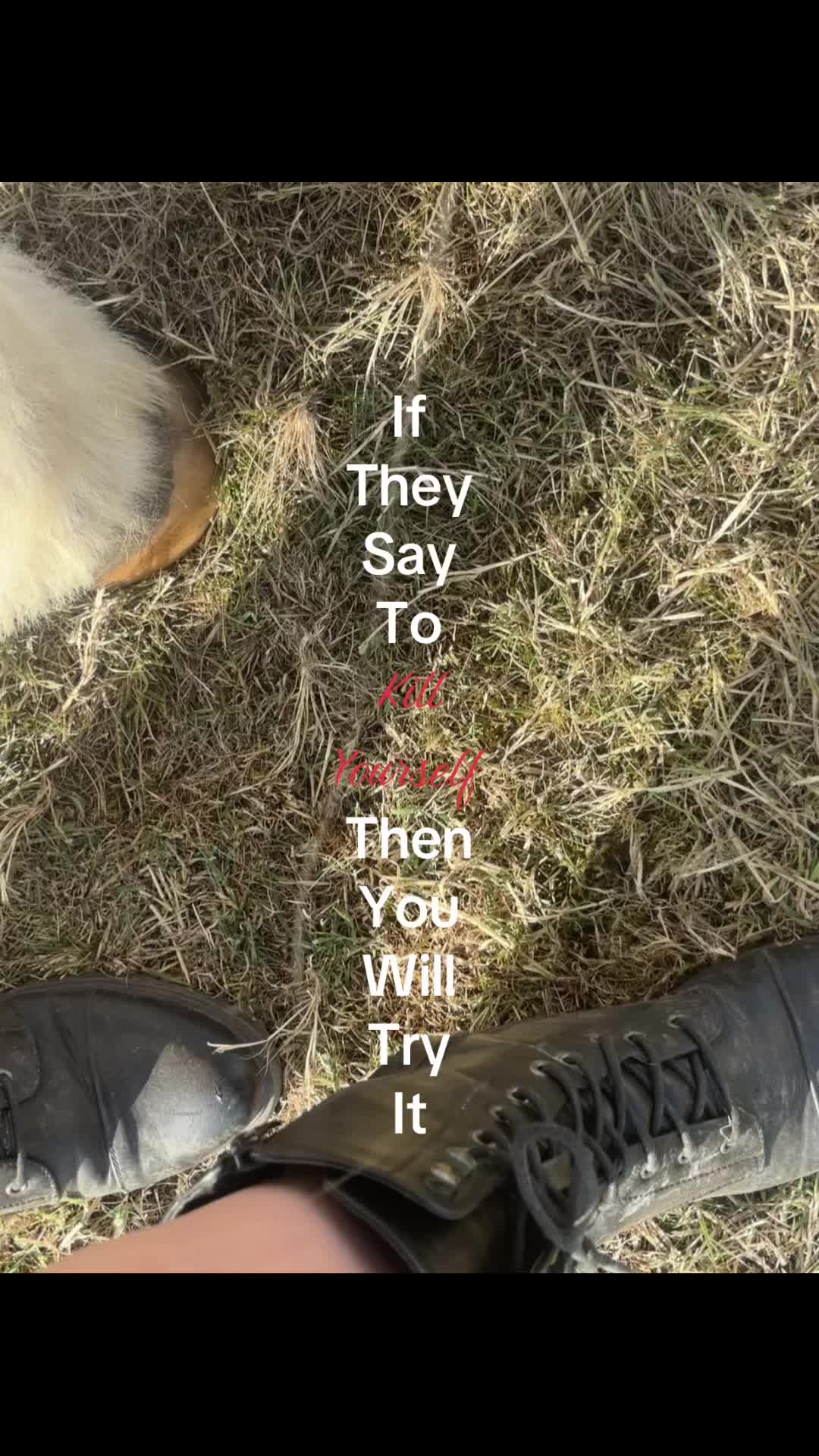 @ʜᴀʏʟᴇʏ𐙚⋆°🦢.⋆ᥫ᭡