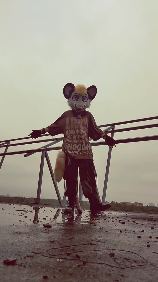 @silly doggo | @