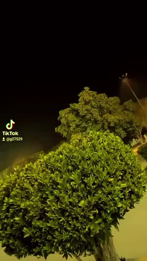 @😂😂نواب دا ویر جٹ 🤣🤣