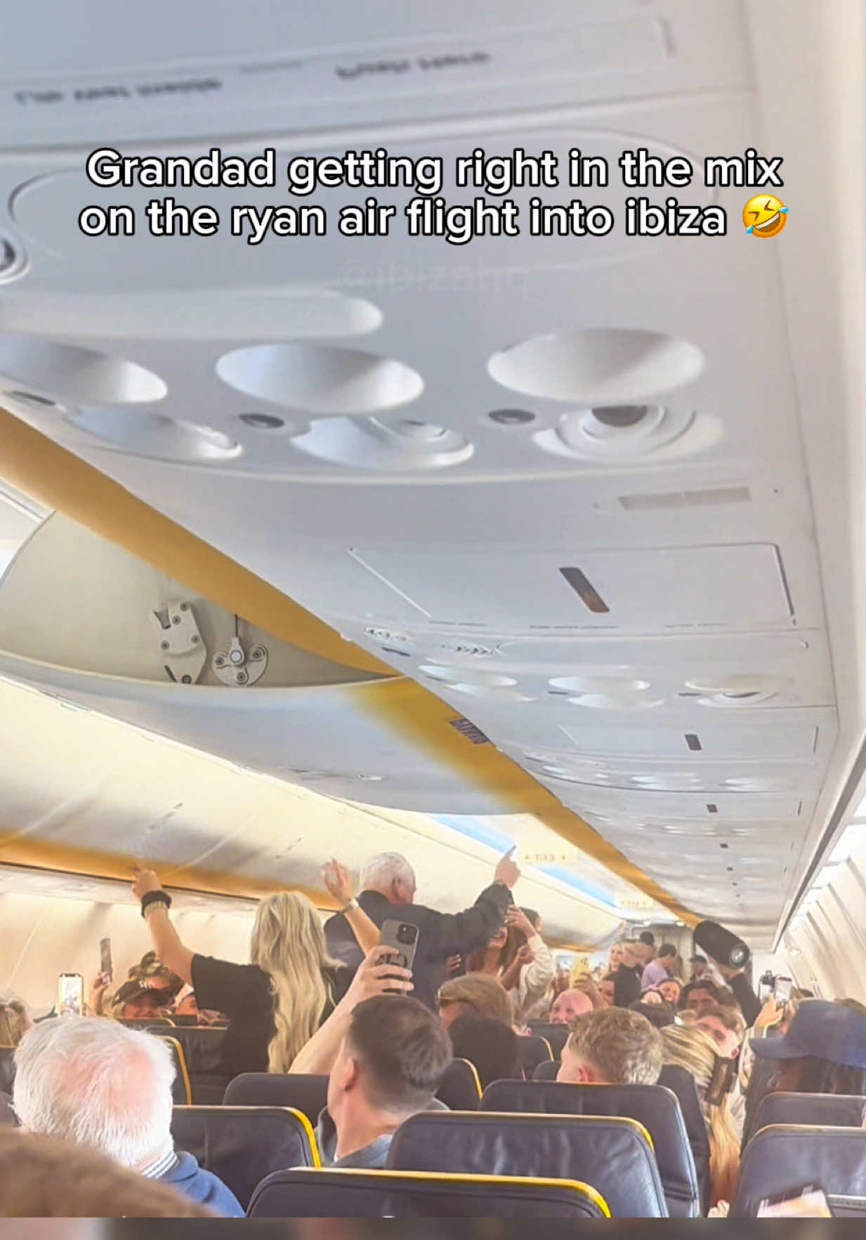 @ibizahq