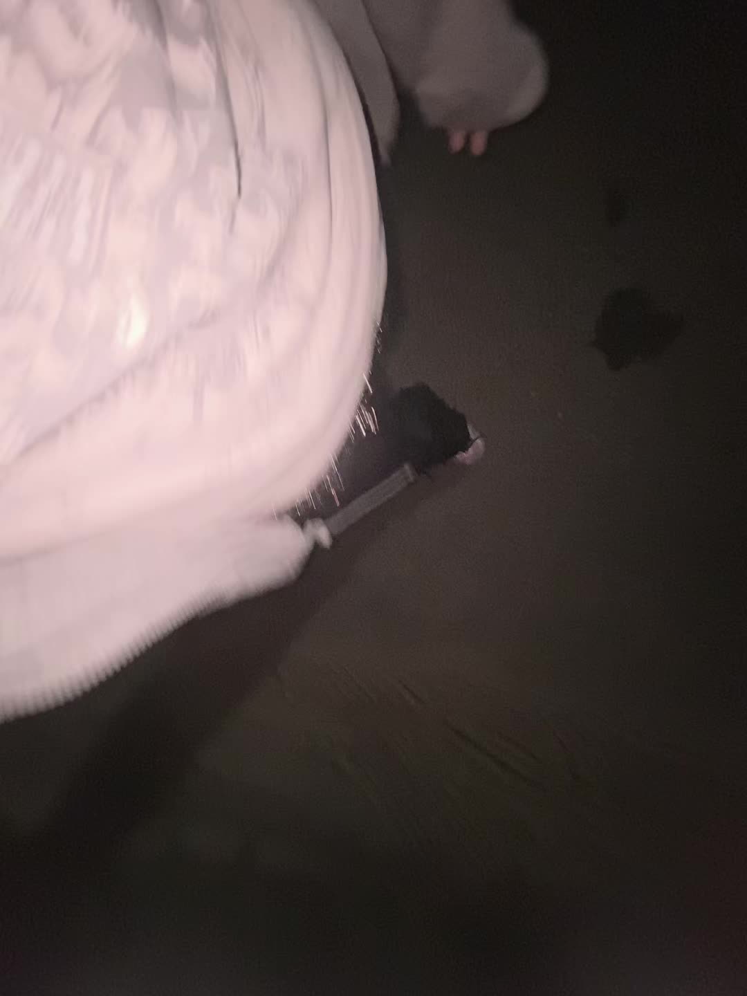 @s3Nyw3bS3x
