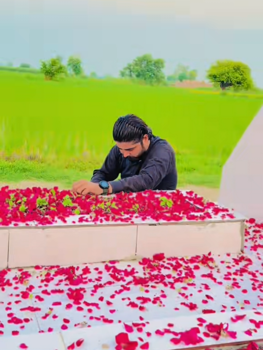 @Ulfat Bhatti