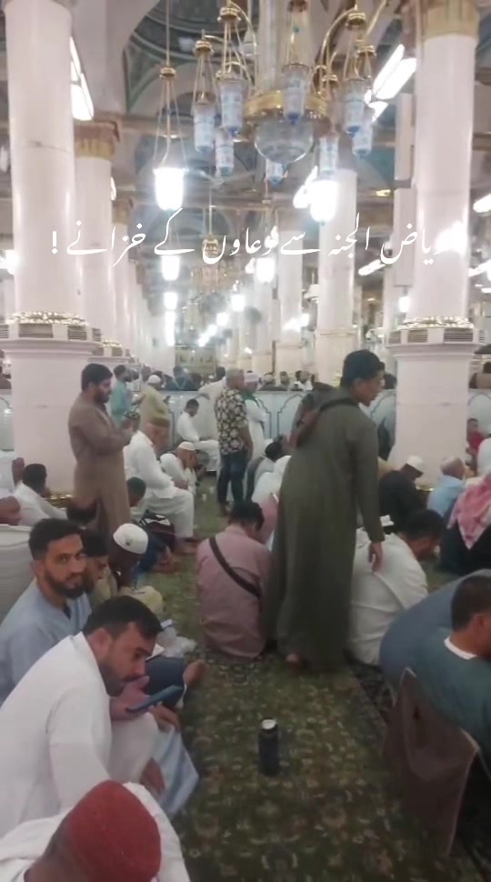 @hafeezm17