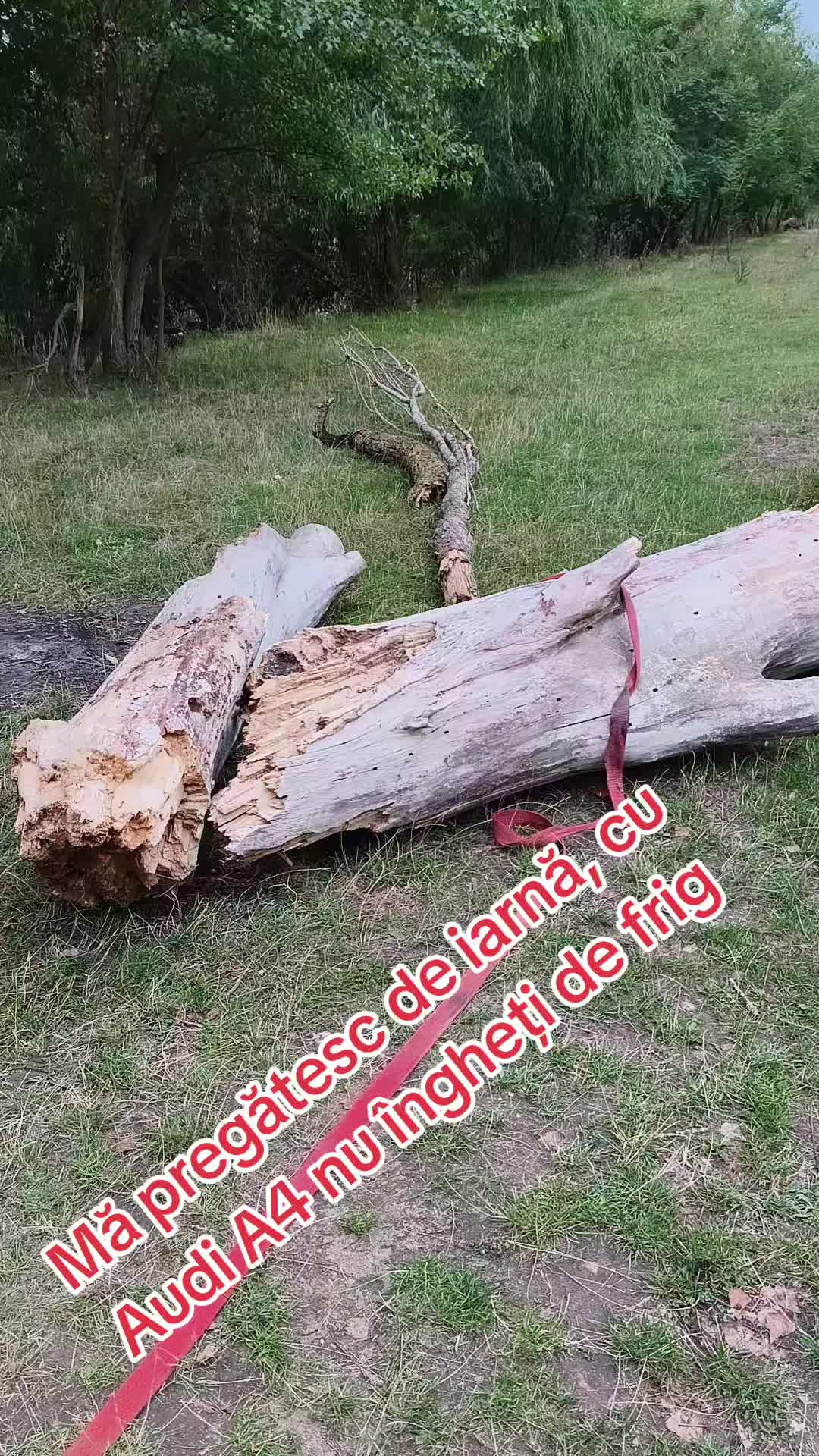 @Văru Nik