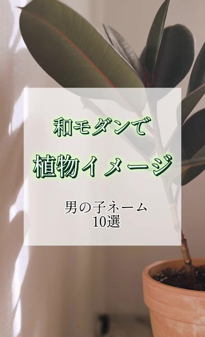 @素敵な名前の贈り物
