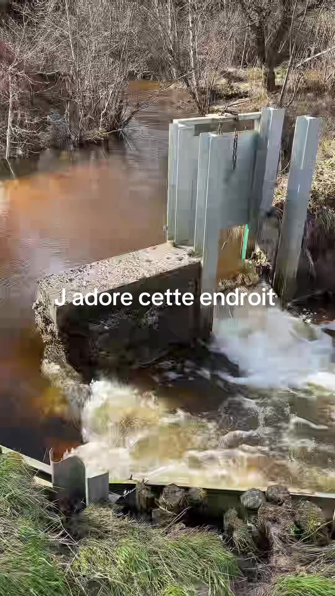 @chouette francoise