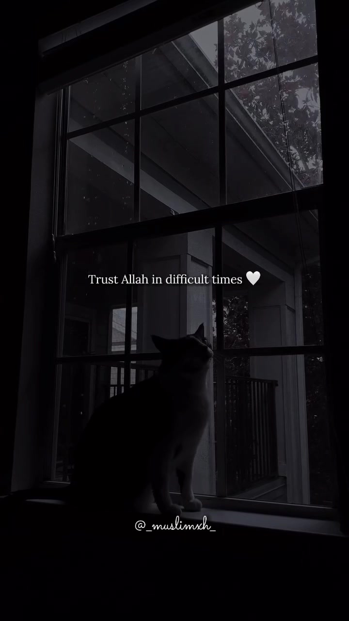 @مسلمه