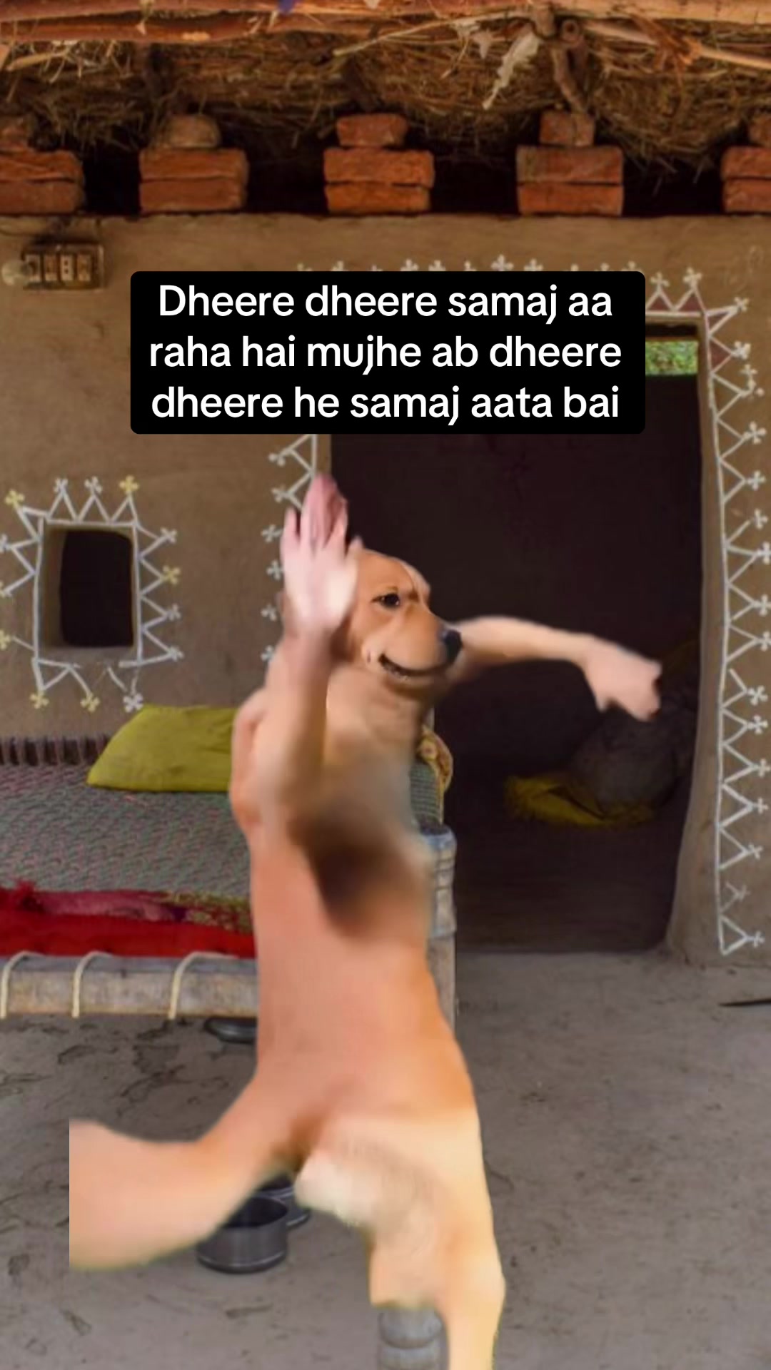 @desi_memes5