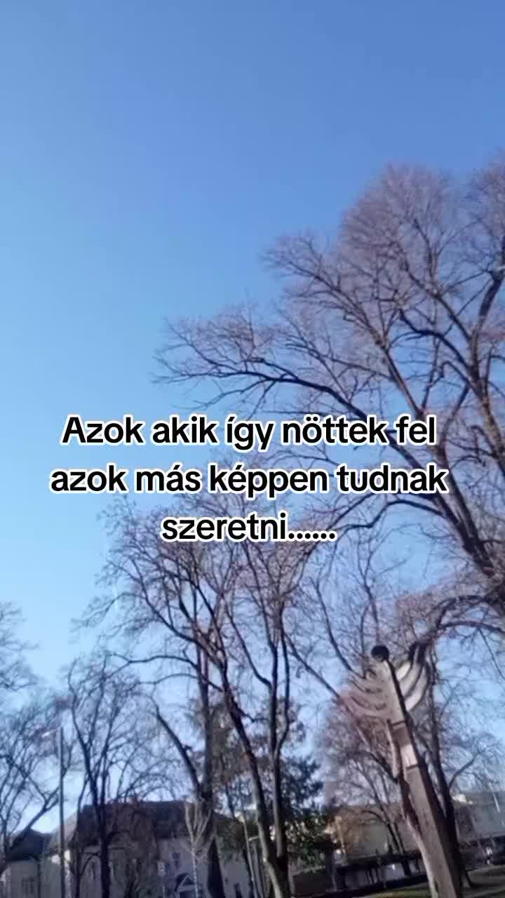 @💫Niki💫