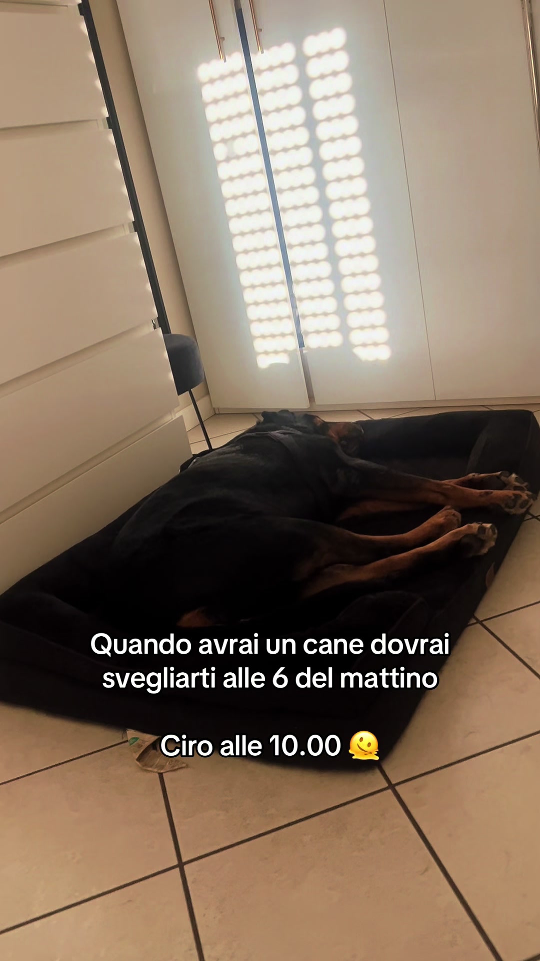 @Silvana Caramia
