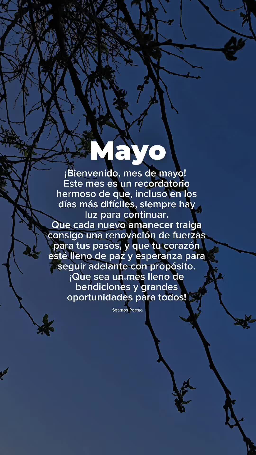 @Seamos Poesía