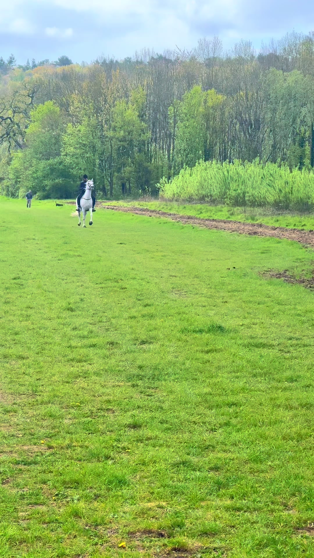 @Slough horses