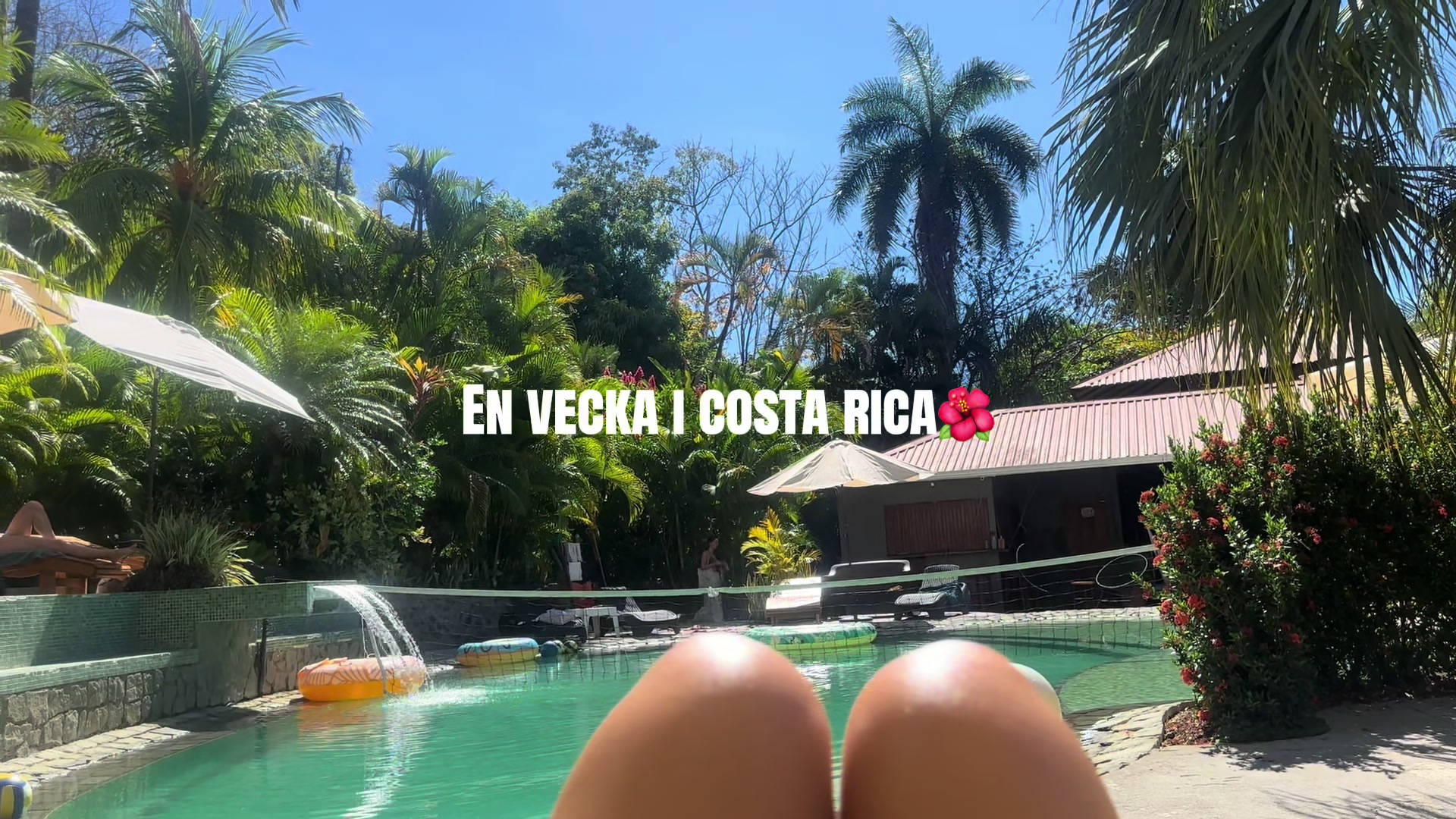 @Bellabus
