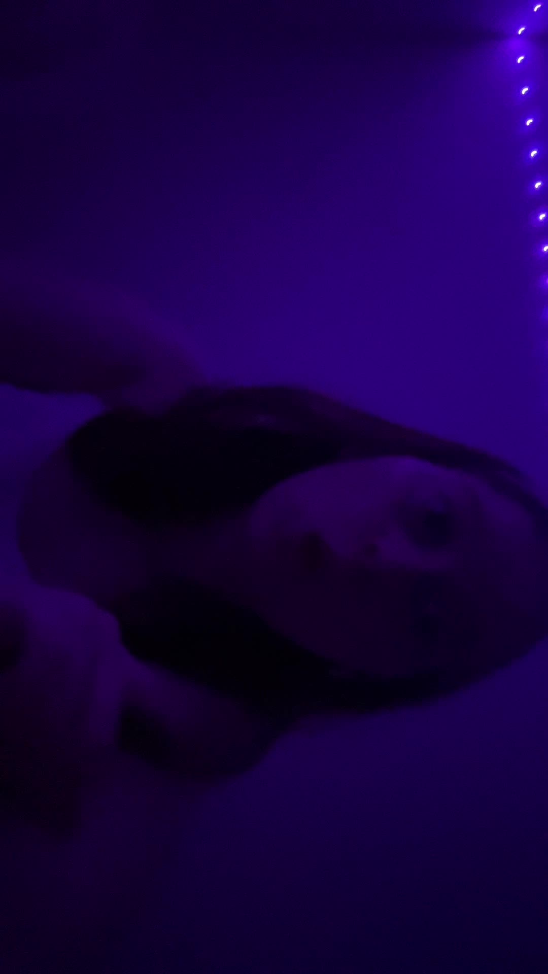 @adorbsmaceyx