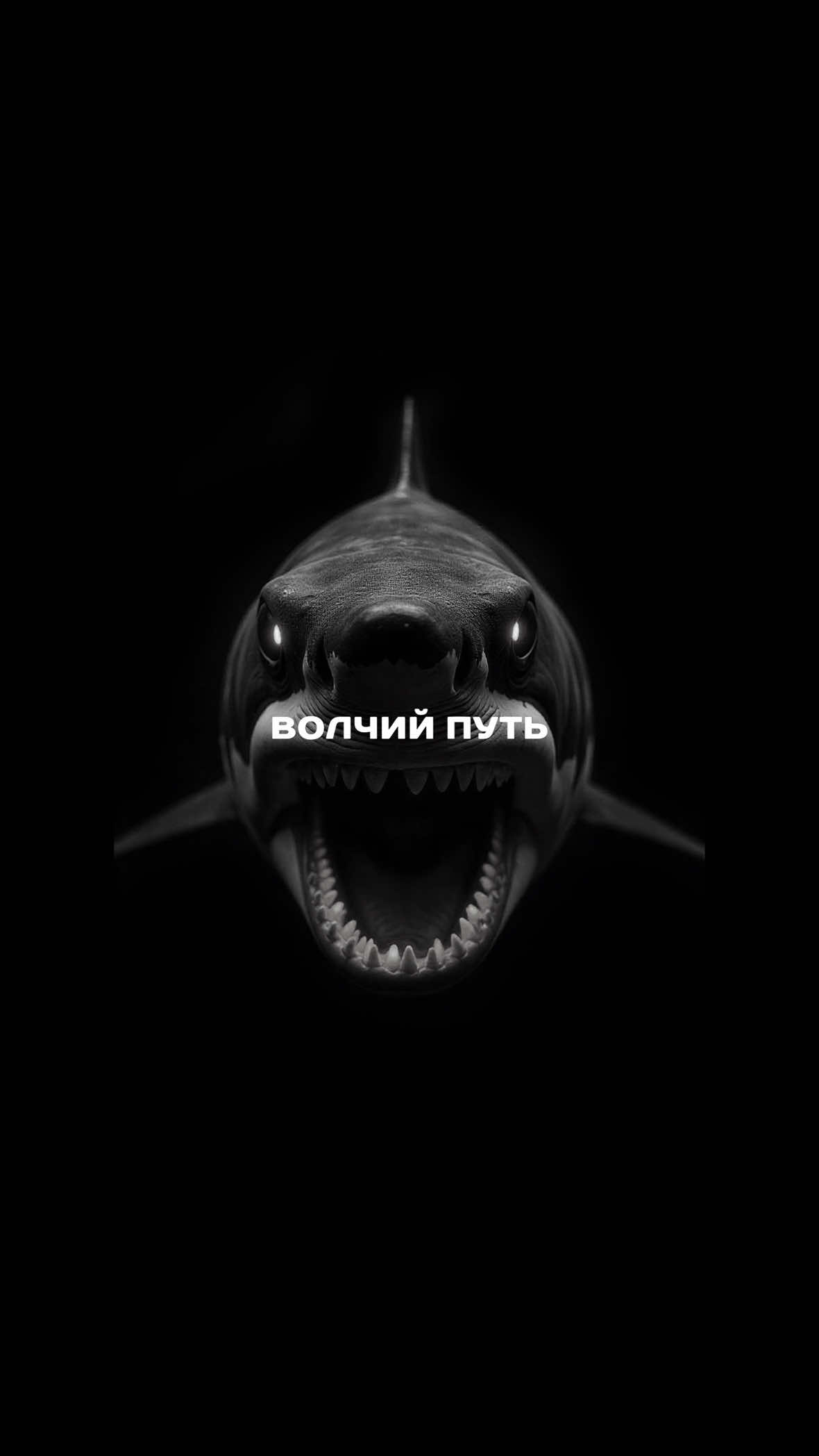 @Волчий Путь