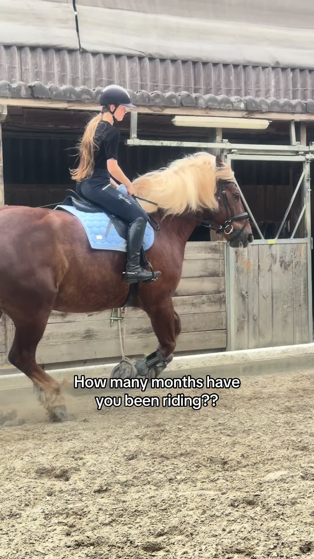 @_.coldblood.dressage_