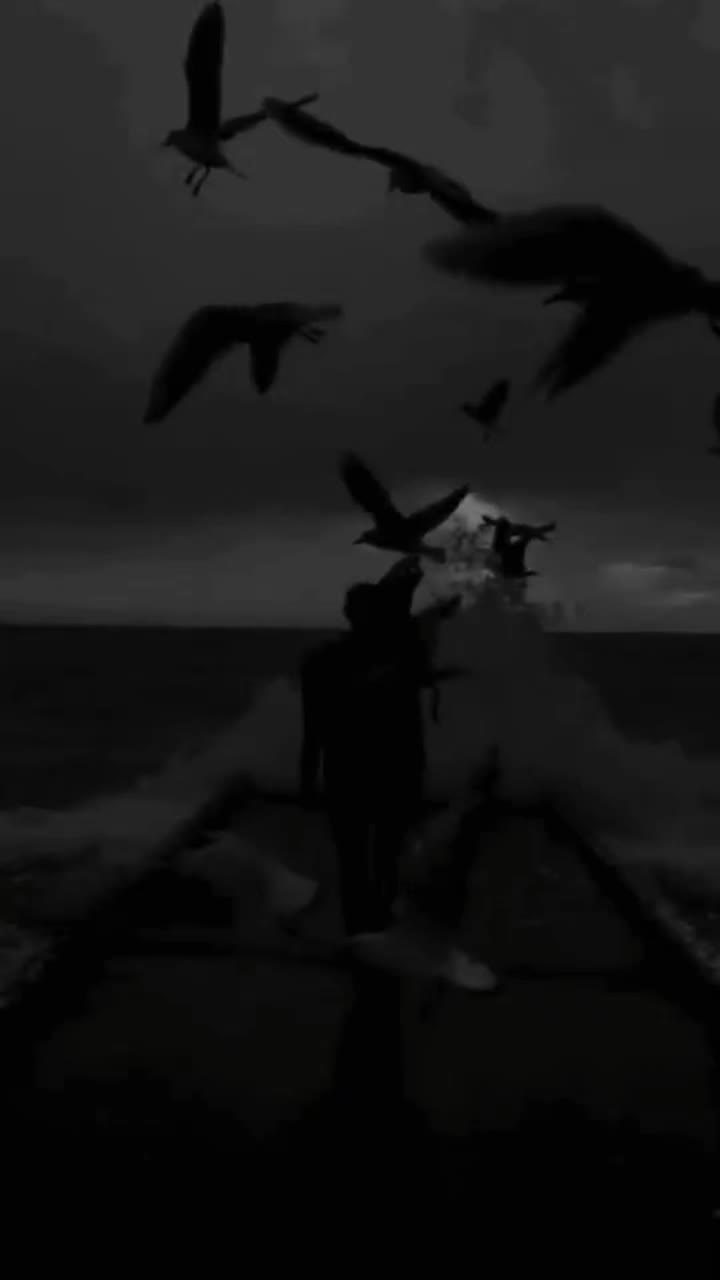 @꧁𓊈𒆜🅰🅻🅾🅽🅴🅶🅸🆁🅻𒆜𓊉꧂