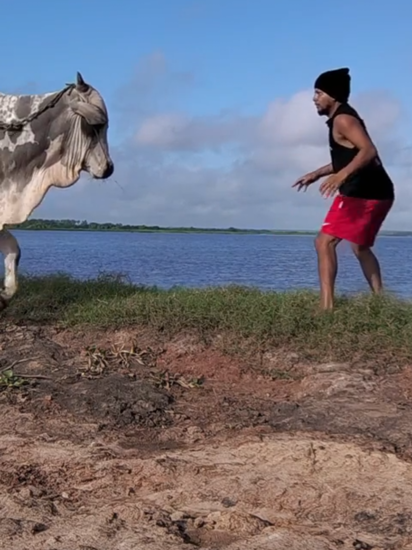 @Funny Videos