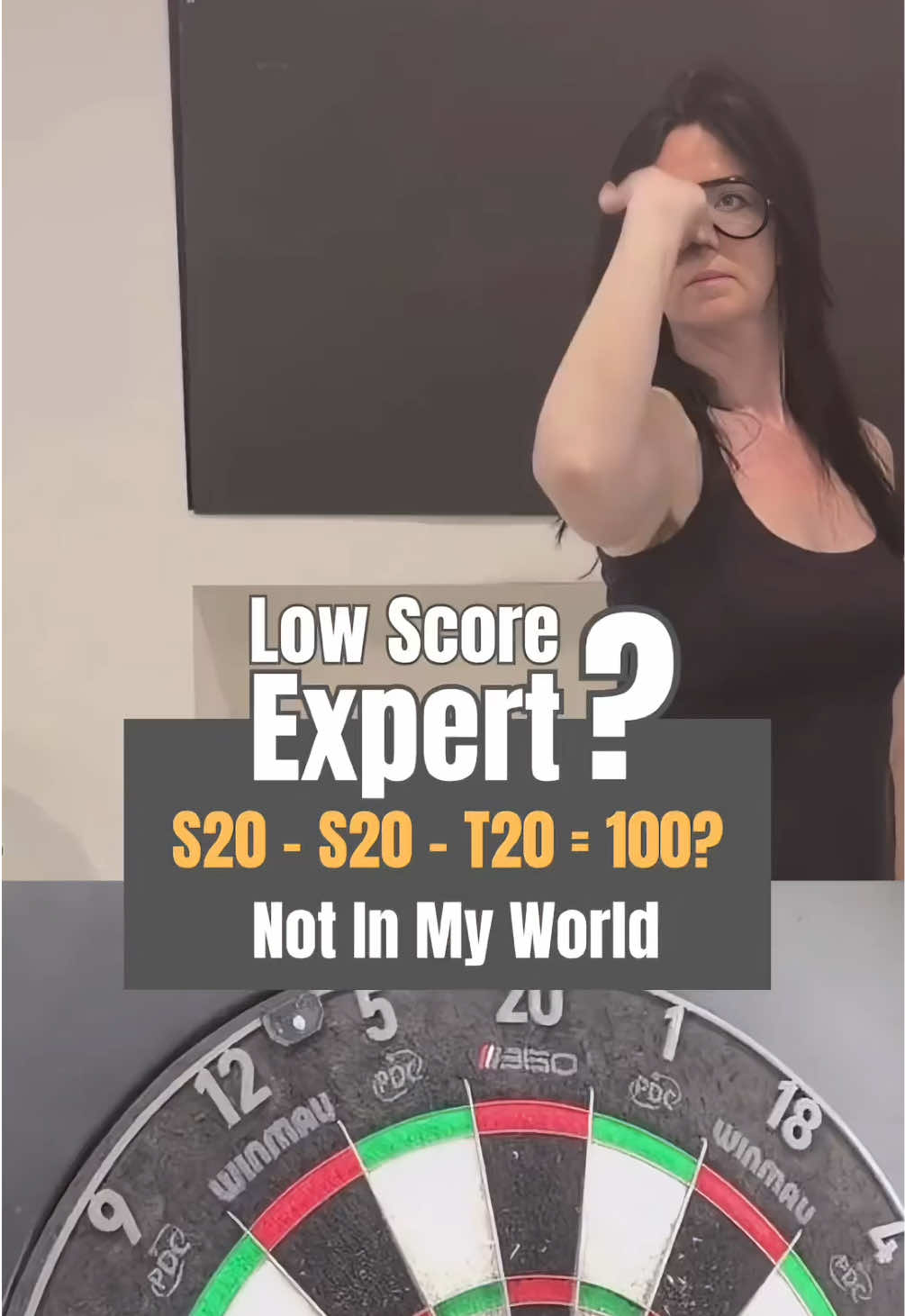 @Helena Darts