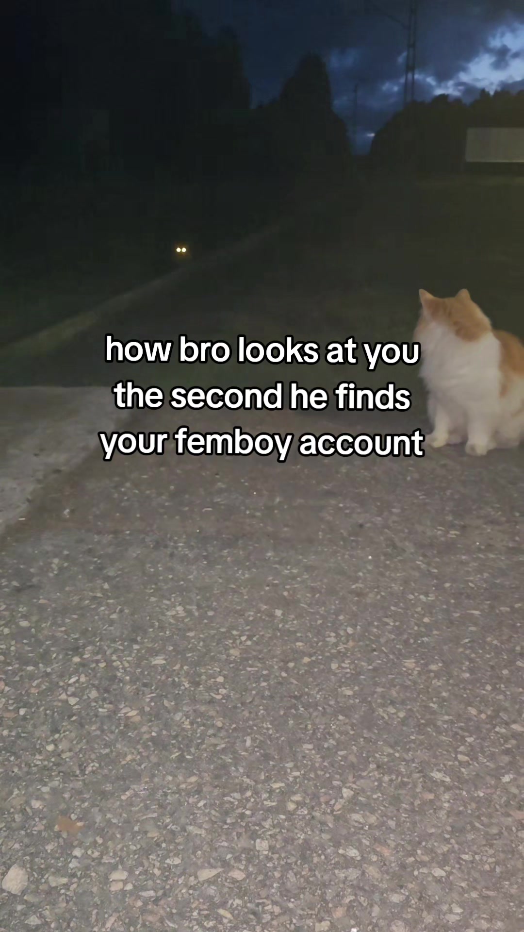 @Ollie <3