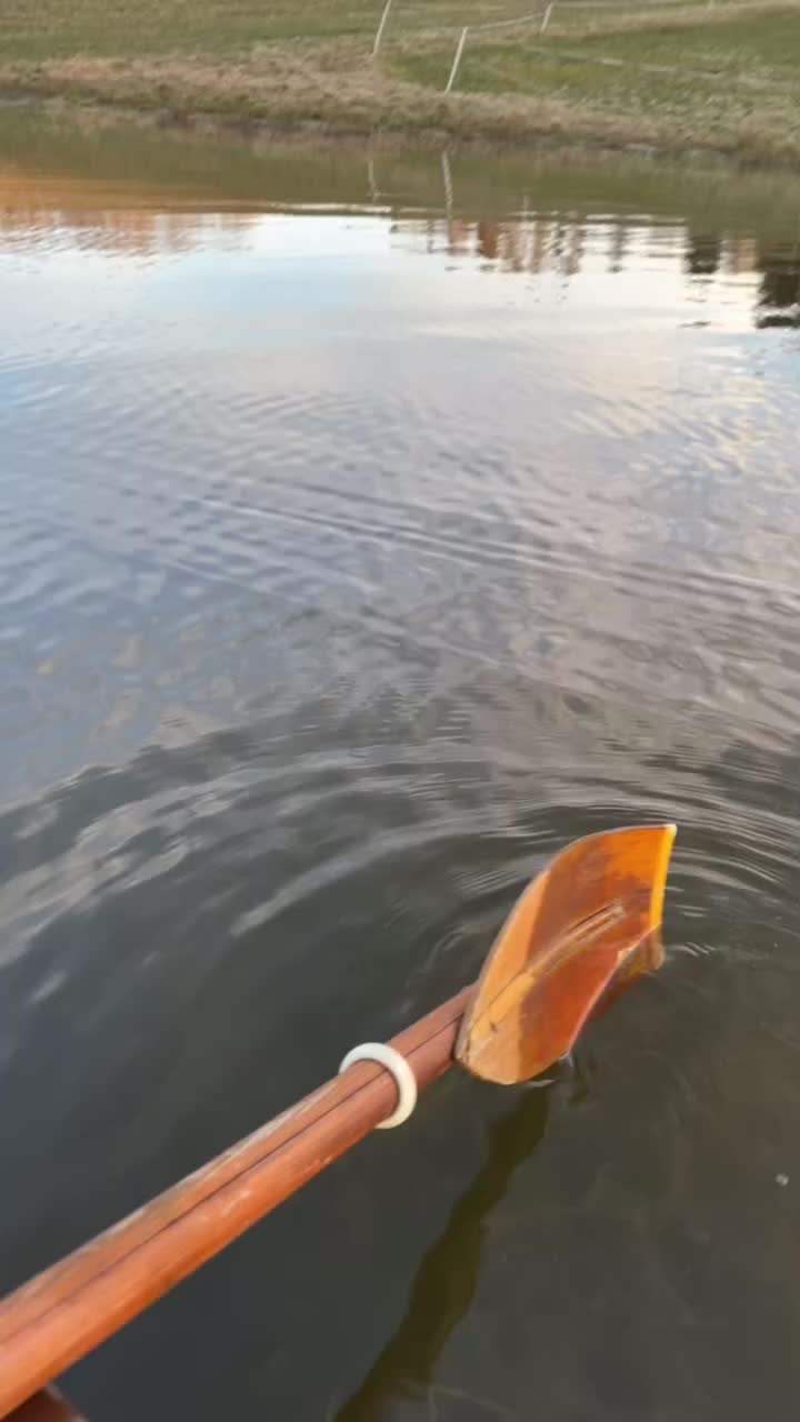 @Stall skogstokig