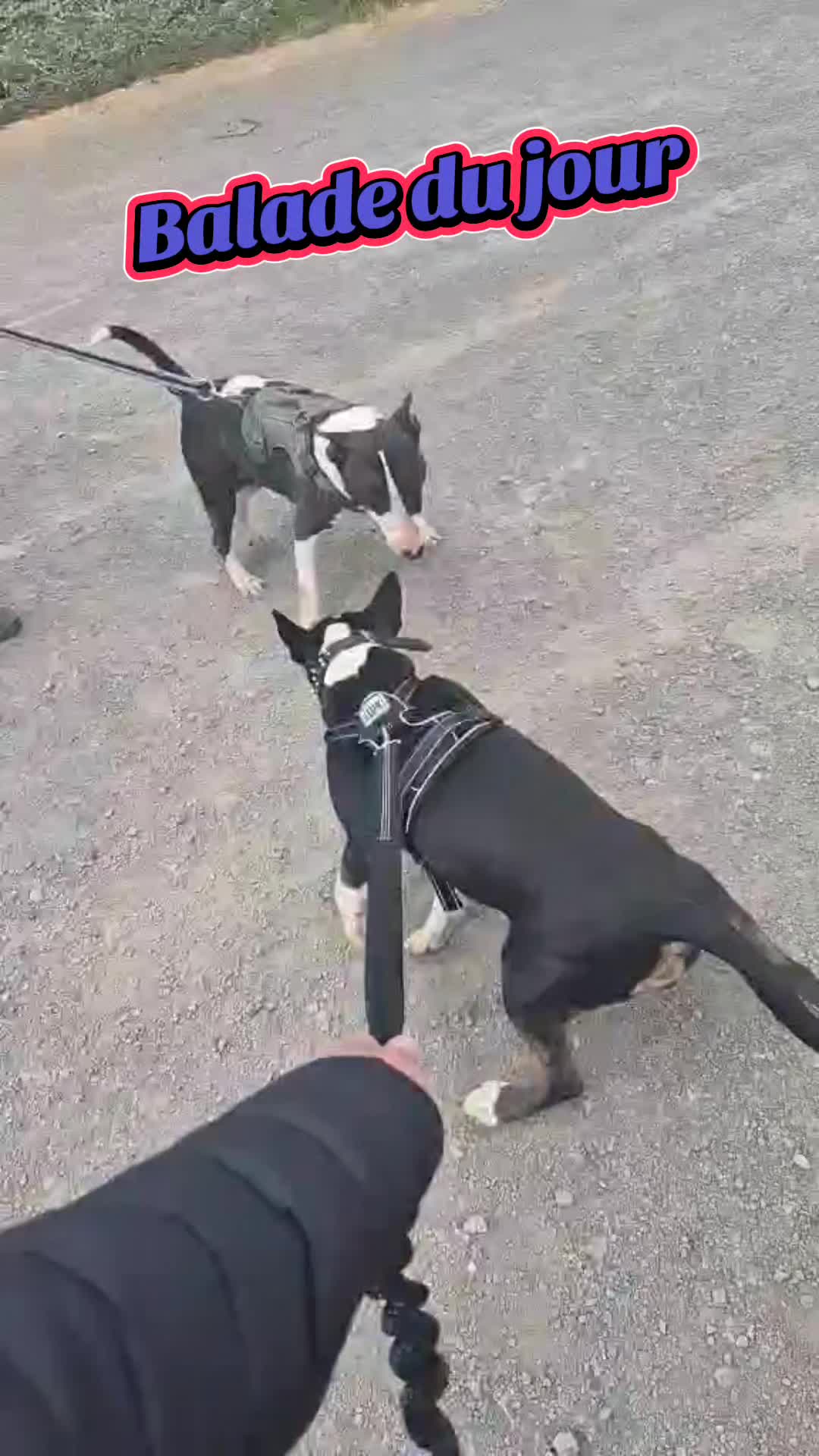 @Shelby_&_moi