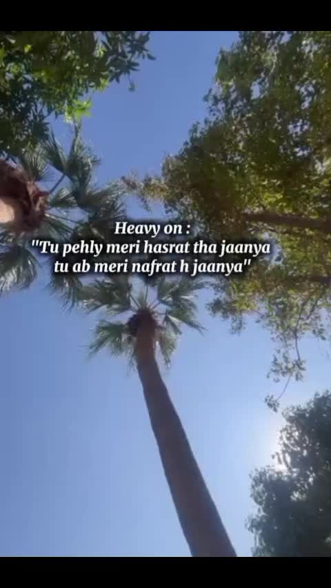 @shamzakhurram20