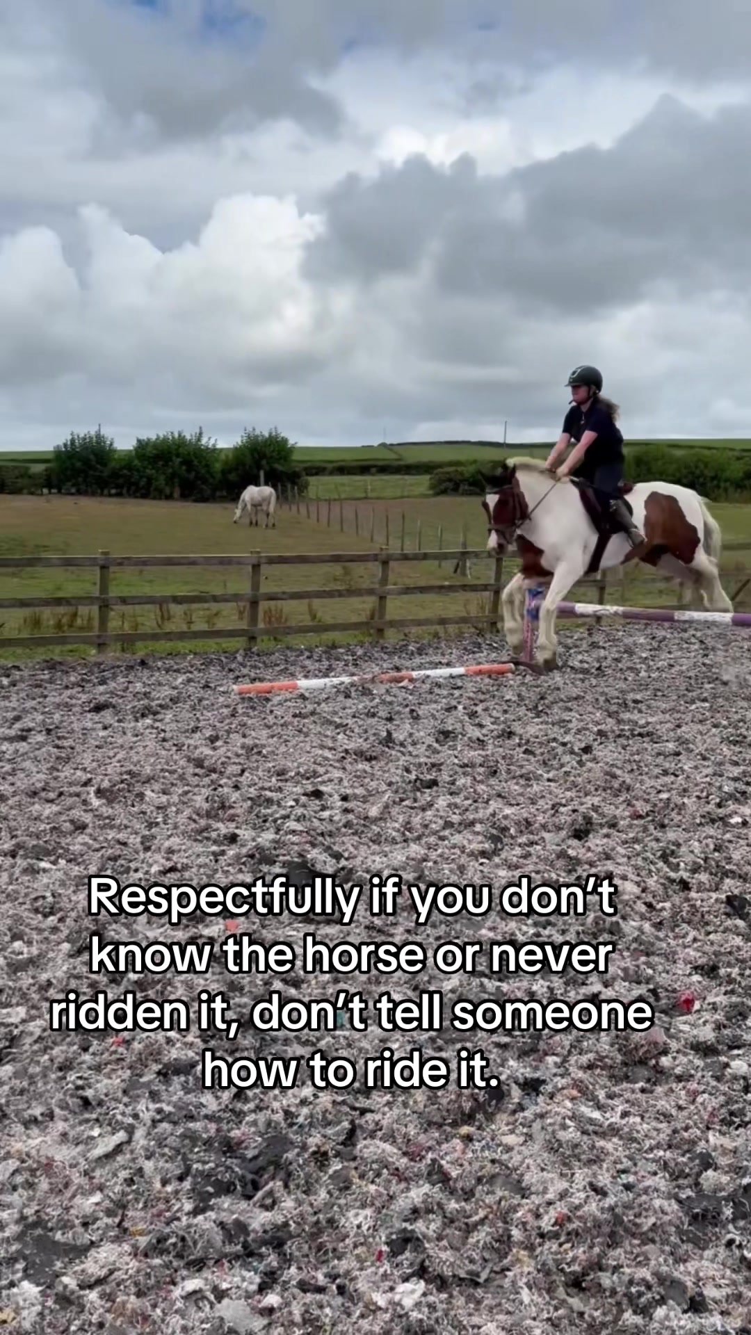 @Lilywiththecobs🐴
