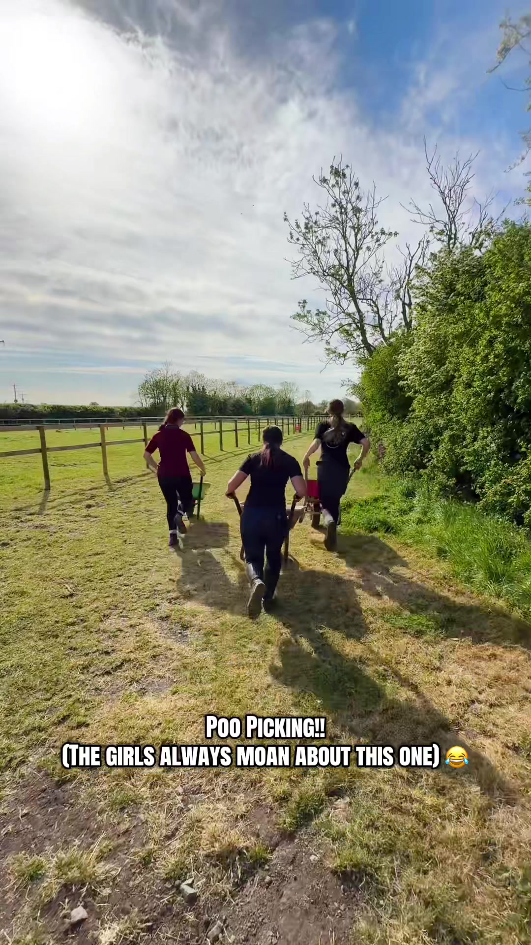 @LW_Equestrian