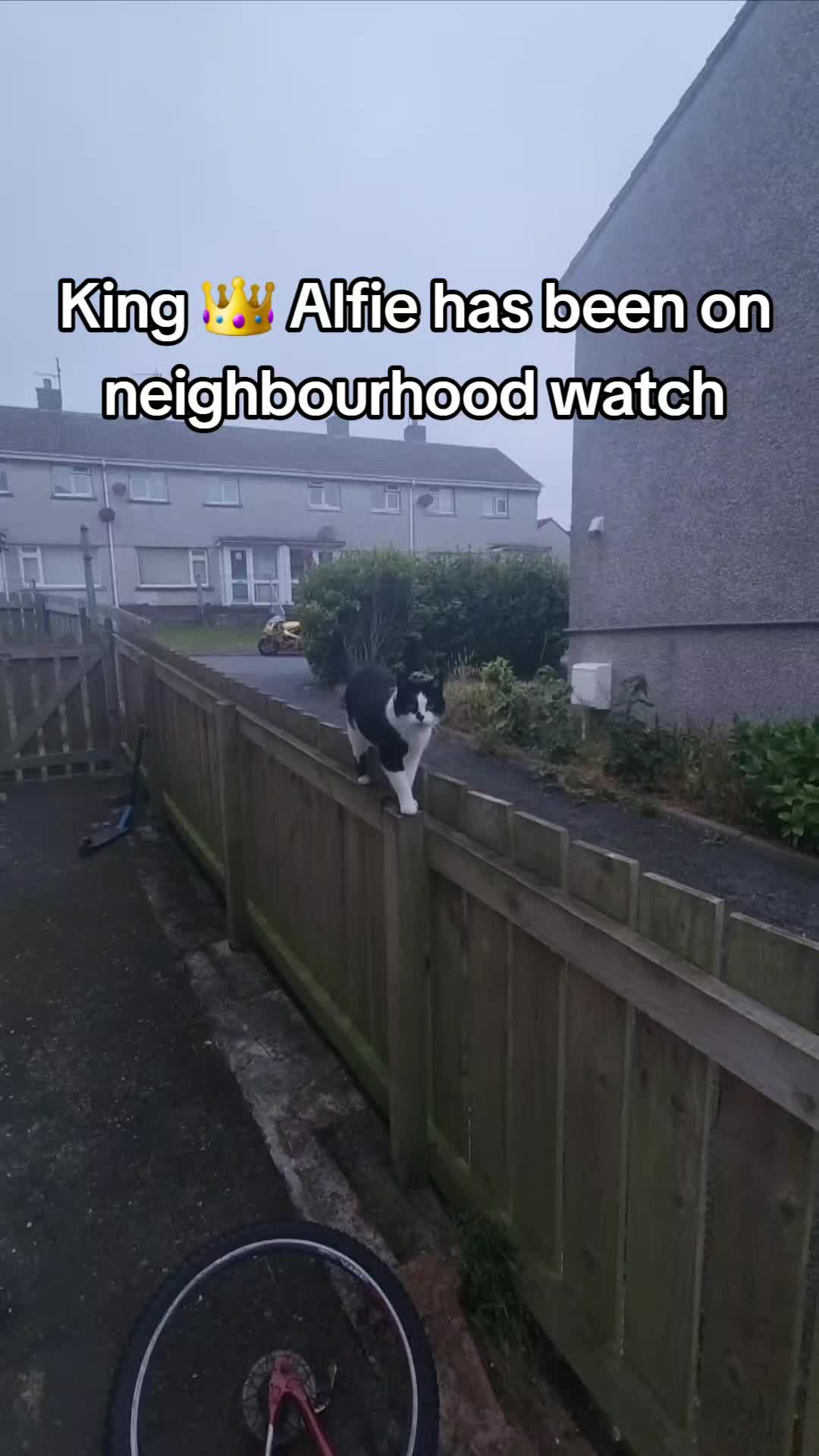 @🎀Lynsey🎀