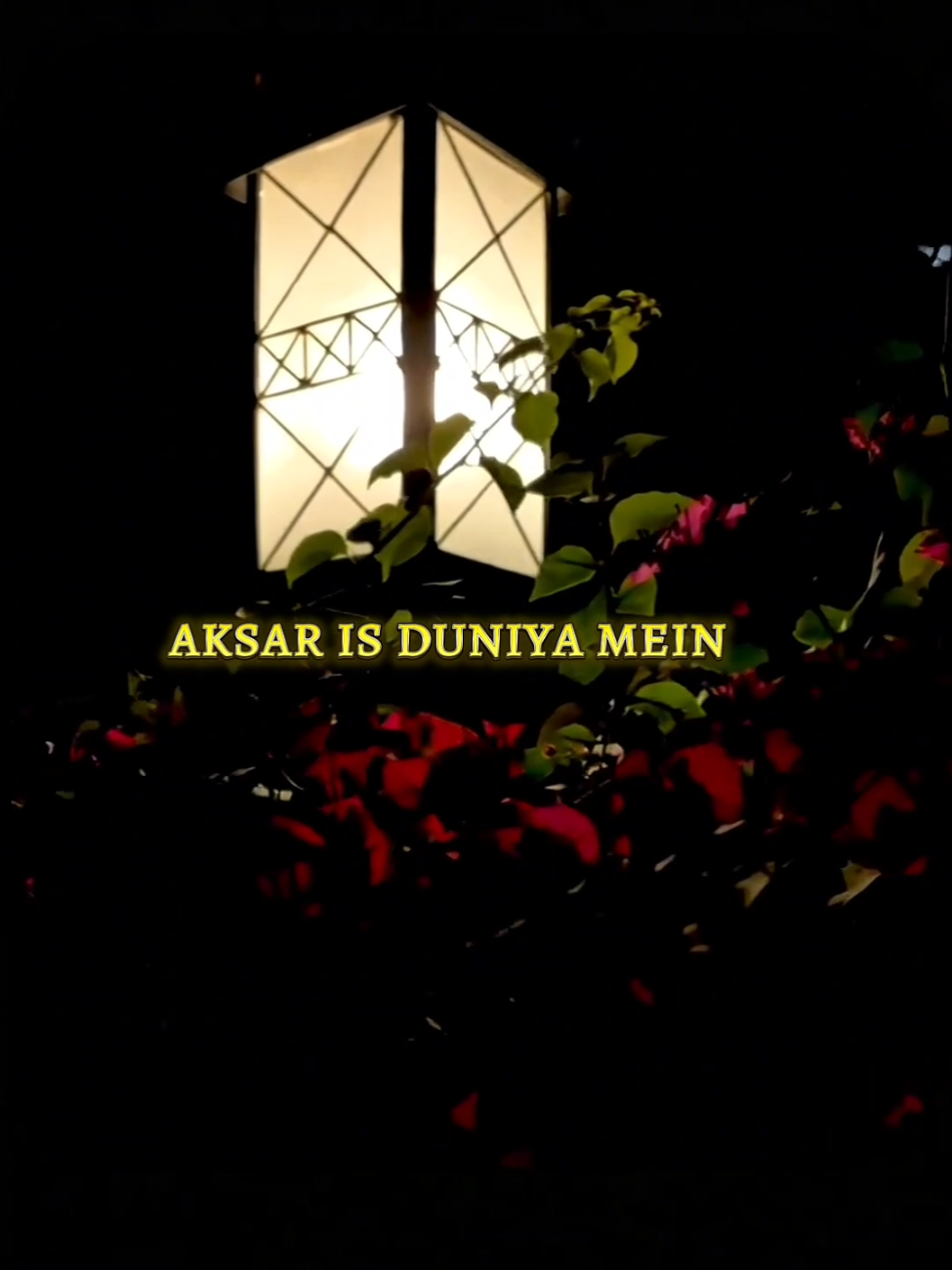 @๐๐ค๐ก๐๐๐ฃ๐๐๐๐ก๐จ โจ