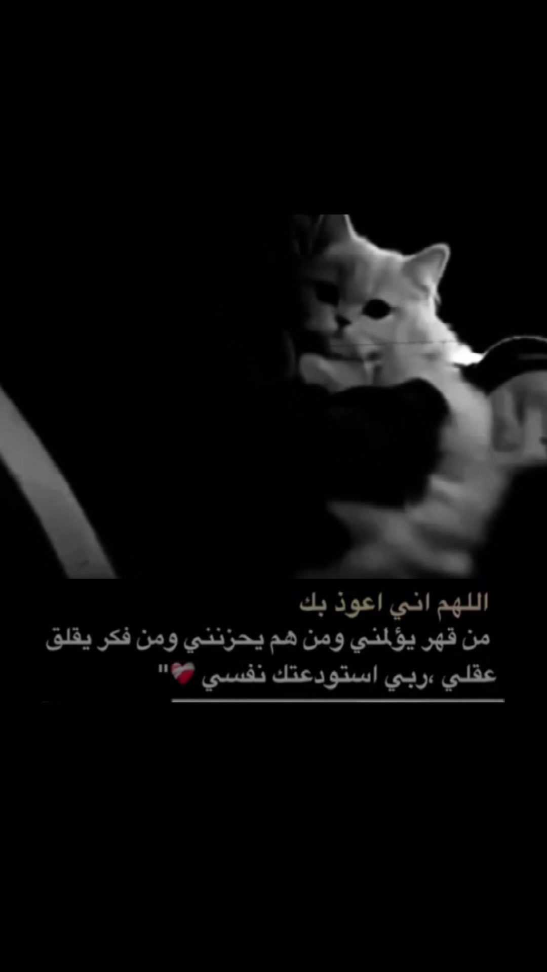 @𝑺𝒊𝒍𝒆𝒏𝒕