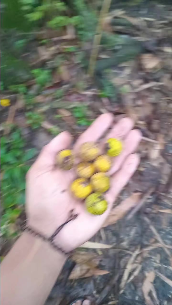 @🙊