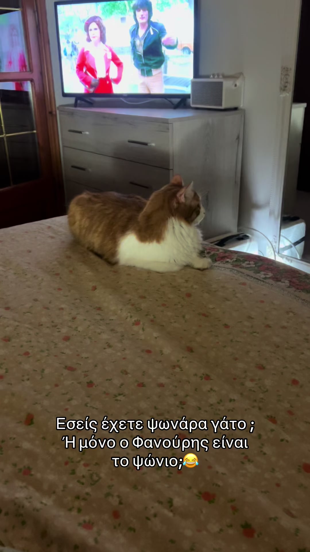 @Φανούρης ❤️🐈