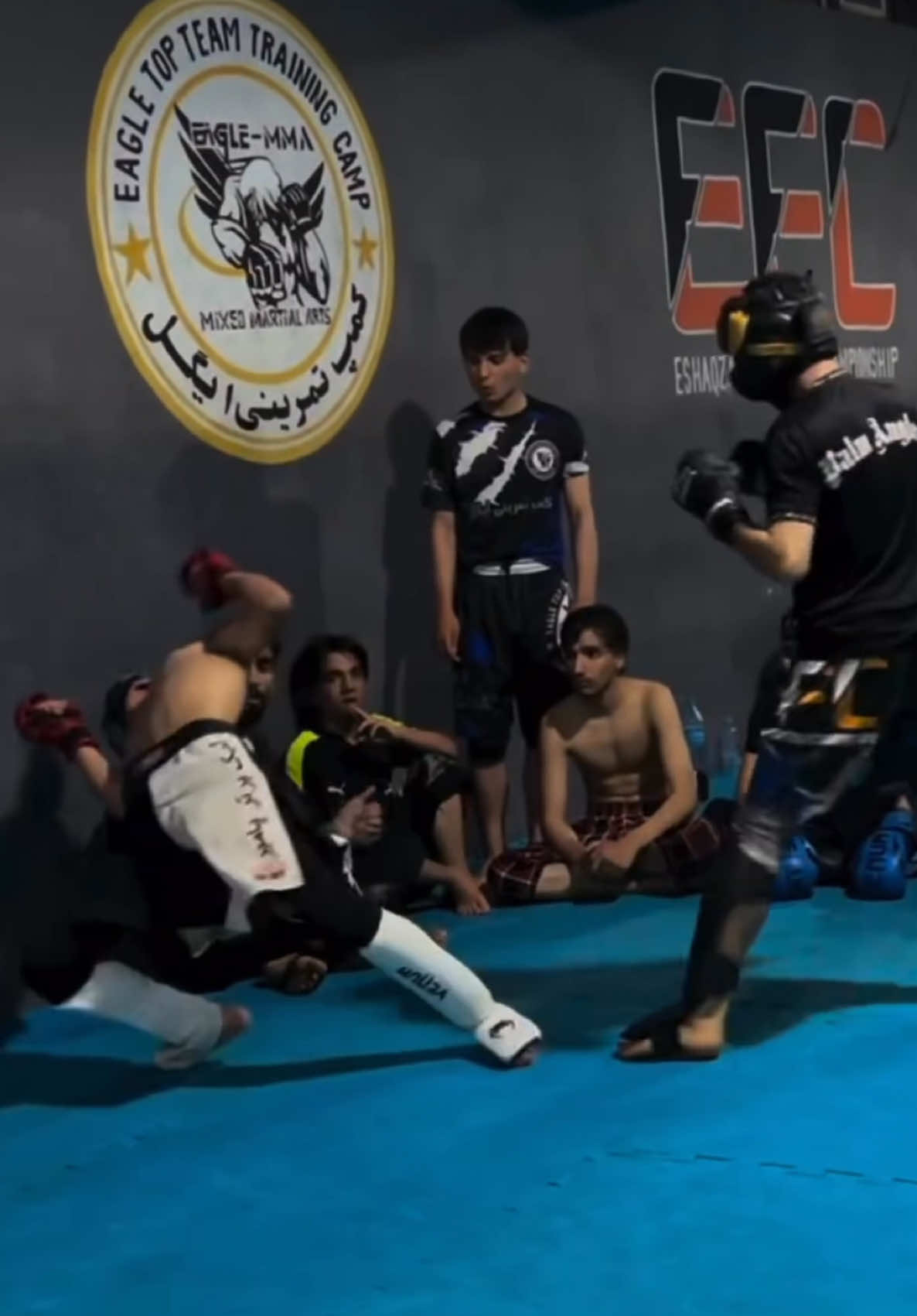 @FightingLab
