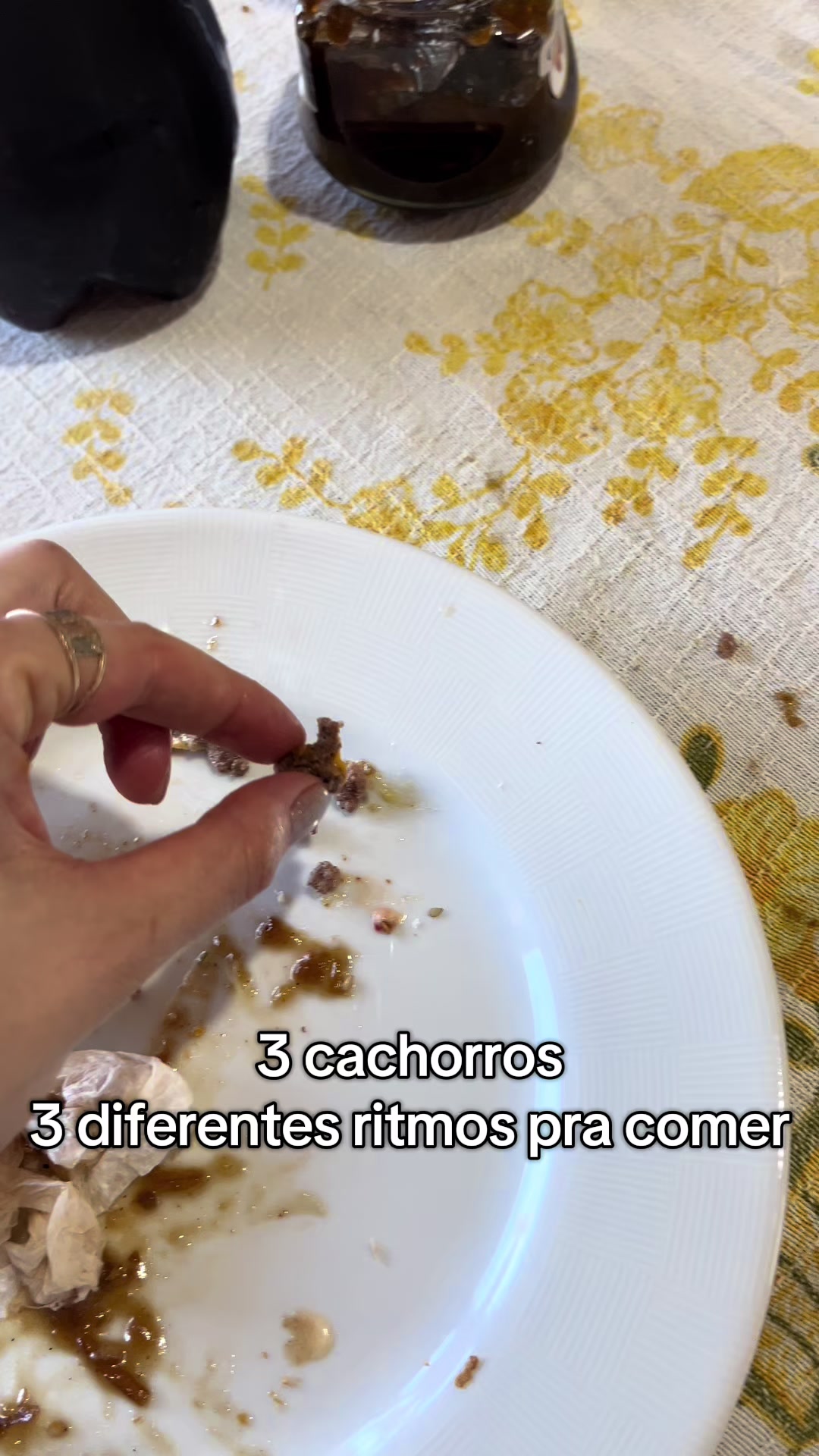 @Rô