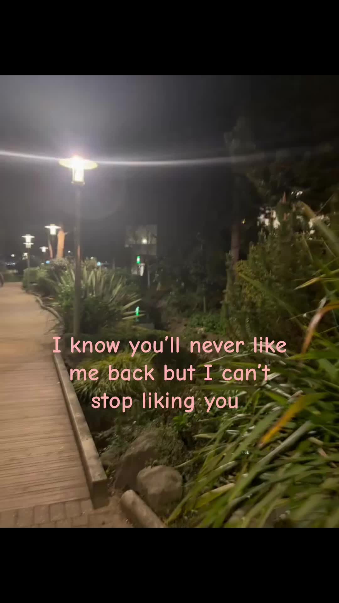@โห๊ฉ ๐๐โฏ๐ โฎหโ