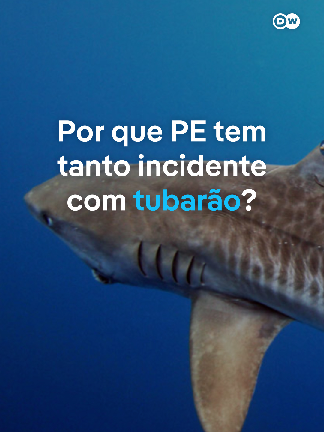 @DW Brasil