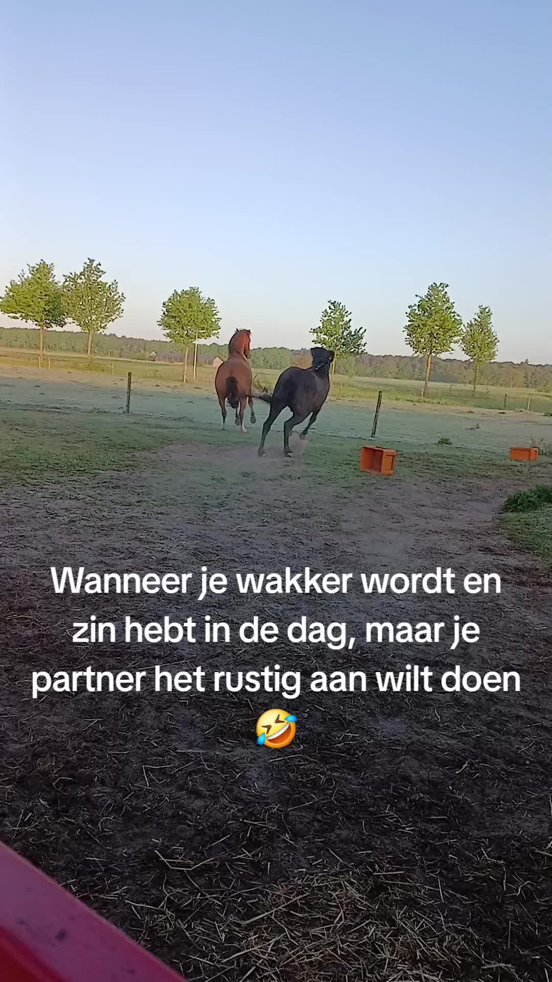 @Sjo's farmvideos